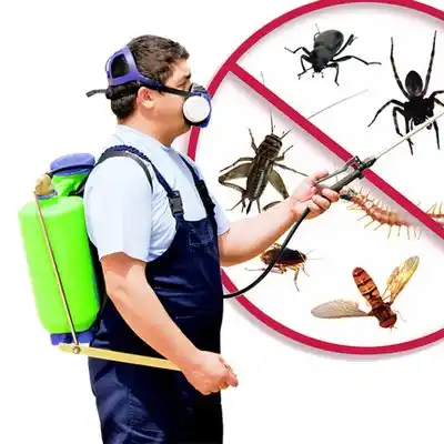 pest control River Bend